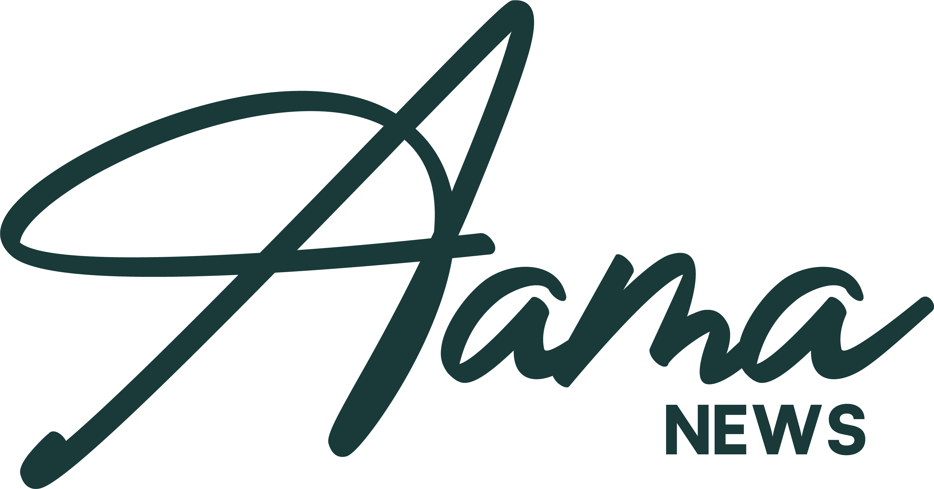 AAMA News